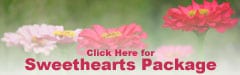 Clickto view our specials.